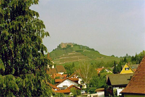 Ferienwohnung "Im S&uuml;&szlig;trunk"