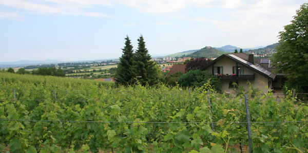 Haus Amann | 284 m &uuml;. NN