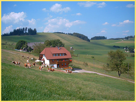 Ferienbauernhof Eckerhof | 950-1.050 m &uuml;. NN