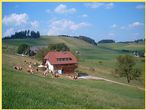 Ferienbauernhof Eckerhof | 1.000 m ü. NN