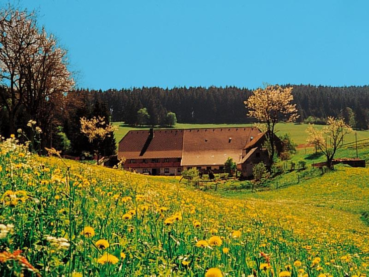 Lippenhof | 1.000 m &uuml;. NN