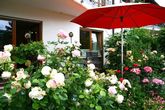 Appartement Rosengarten | 284 m ü. NN