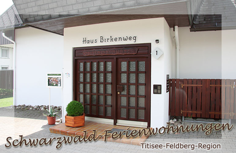 Haus Birkenweg | 910 m &uuml;. NN