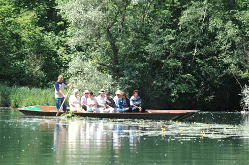 Bootsfahrten im Taubergie&szlig;en, dem letzten Urwald am Oberrhein