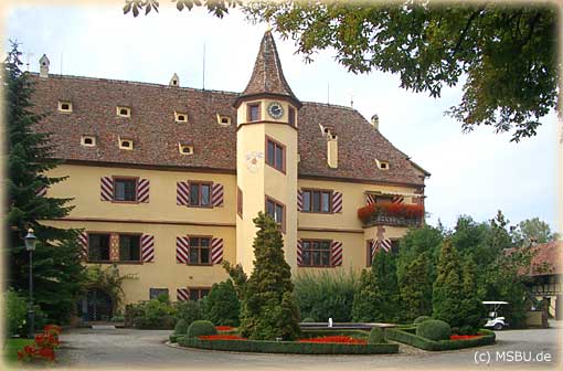 Das Schmuckst&uuml;ck von Rust ist das Schlo&szlig; von 1577, mit seinem von Gaupen belebten Dach und dem sch&ouml;nen, alles &uuml;berragenden Treppenturm.