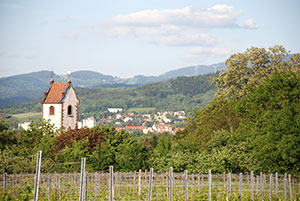 Staufen-Wettelbrunn im Breisgau