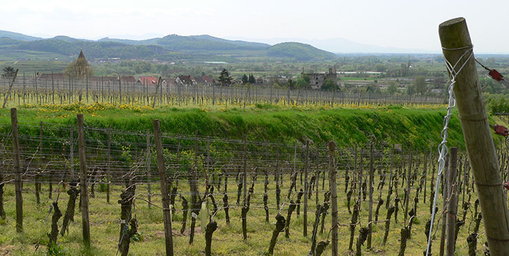 Kaiserstuhl im Breisgau