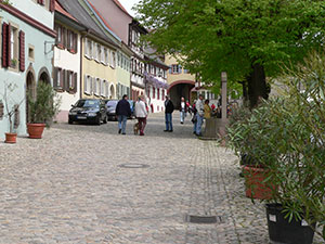 Kaiserstuhl im Breisgau