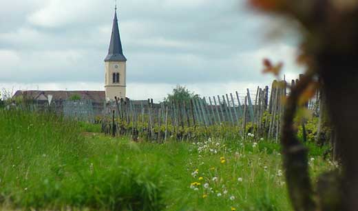 Ballrechten_Dottingen