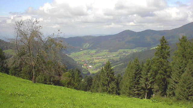 Blick in das Glottertal 