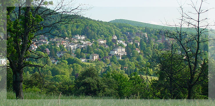 Blick auf Badenweiler