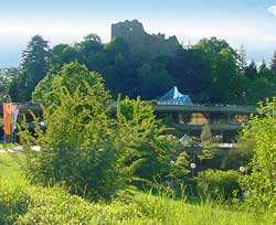 Blick auf die Burg in Badenweiler