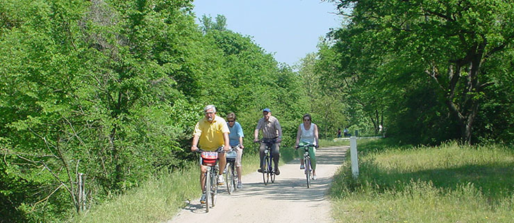 Radweg entlang des Rhein