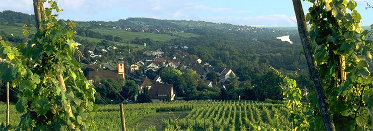 Bad Bellingen im&nbsp;Markgr&auml;flerland
