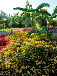 Kurpark Bad Bellingen