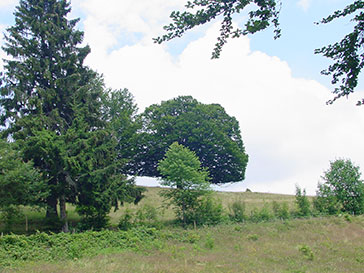 Todtmoos im Schwarzwald