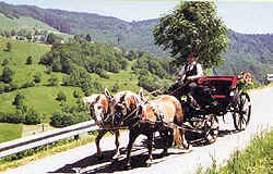 Kutsche in Wieden im Schwarzwald