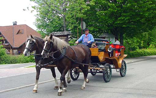 Kutscher in Lenzkirch
