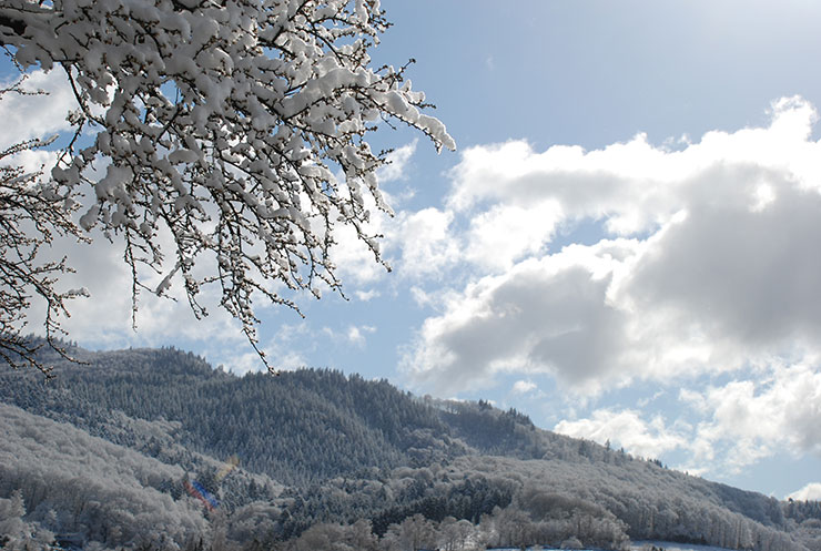 Der Schwarzwald im Winter