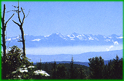 Blick auf die Alpen von Bernau im Schwarzwald