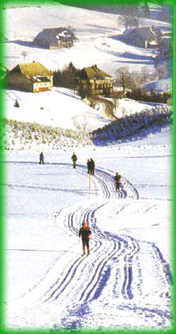 Ski-Langlauf in Bernau im Schwarzwald