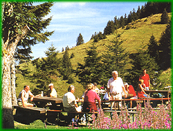 Erholen in Bernau im Schwarzwald