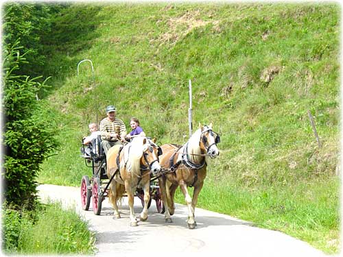 Breitnau Schwarzwald