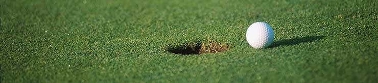 Golf im Breisgau und Schwarzwald