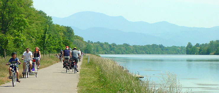 Radtour am Altrhein mit Blick auf den Schwarzwald