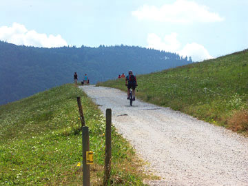 Mountainbiking im Schwarzwald