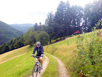 Mountainbiking im Schwarzwald