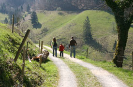 Wandern im Schwarzwald, Breisgau und Markgr&auml;flerland