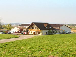 Weingut Strausse Löffler