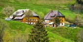Bühlhof | 460 m ü. NN