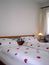 Doppelzimmer | 20m² | max. 2 Pers.