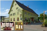 Gasthaus Linde | 233 m ü. NN