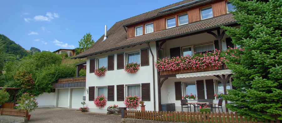 Fahrradurlaub Mtb Mountainbiken Schwarzwald Unterkunfte