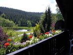 Landhaus Flora | 1.000 m ü. NN
