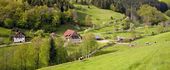 Schingerhof | 300-1.241 m ü. NN