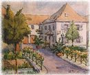 Gasthaus Pension "Traube" | 230 m ü. NN