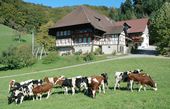 Vogtbenedikthof | 245 m ü. NN